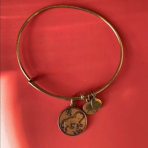 leo alex and ani